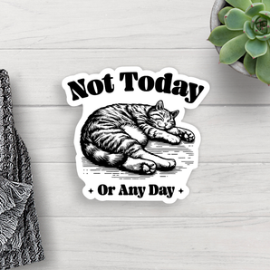 Cat Not Today Vinyl Sticker